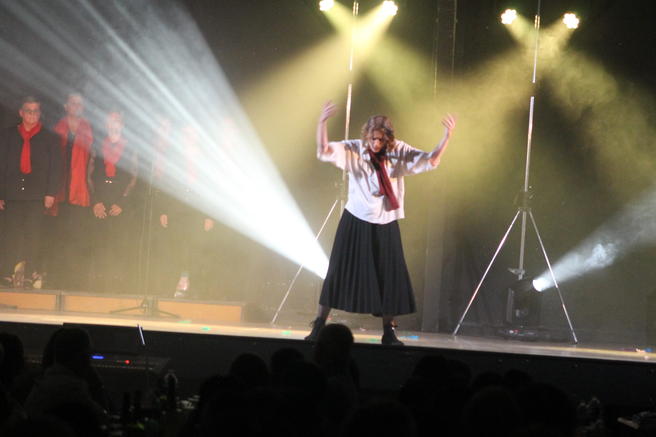 Article du petit journal 